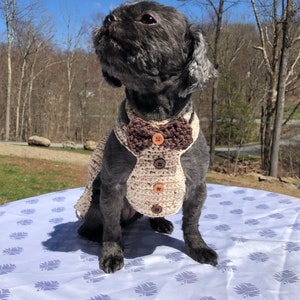 Dog Harness, Dog leash, Soft Pet Harness, Puppy Harness, Kitten Harness, Mini Dog Harness,Fashionable Harness,Harness,Yorkie Harness
