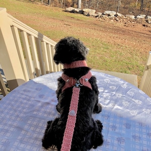 Dog Harness, Dog leash, Soft Pet Harness, Puppy Harness, Kitten Harness, Mini Dog Harness,Fashionable Harness,Harness,Yorkie Harness