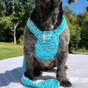 Dog Harness, Dog leash, Soft Pet Harness, Puppy Harness, Kitten Harness, Mini Dog Harness,Fashionable Harness,Harness,Yorkie Harness