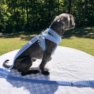 Dog Harness, Dog leash, Soft Pet Harness, Puppy Harness, Kitten Harness, Mini Dog Harness,Fashionable Harness,Harness,Yorkie Harness