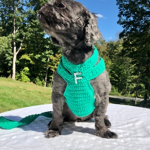 Dog Harness, Dog leash, Soft Pet Harness, Puppy Harness, Kitten Harness, Mini Dog Harness,Fashionable Harness,Harness,Yorkie Harness