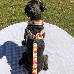 Dog Harness, Dog leash, Soft Pet Harness, Puppy Harness, Kitten Harness, Mini Dog Harness,Fashionable Harness,Harness,Yorkie Harness