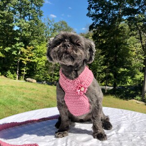 Dog Harness, Dog leash, Soft Pet Harness, Puppy Harness, Kitten Harness, Mini Dog Harness,Fashionable Harness,Harness,Yorkie Harness