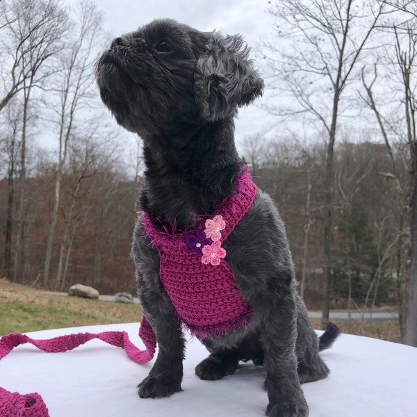 Dog Harness and leash set, Pet Harness, Puppy Harness, Kitten Harness, Mini Dog Harness,Fashionable Harness, Crochet Harness