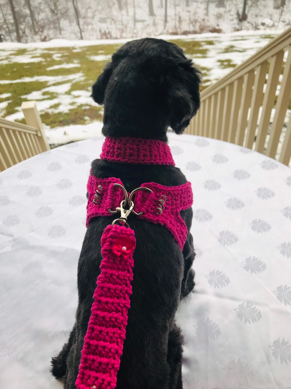 crochet dog harness