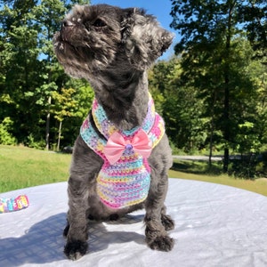 Dog Harness, Dog leash, Soft Pet Harness, Puppy Harness, Kitten Harness, Mini Dog Harness,Fashionable Harness,Harness,Yorkie Harness