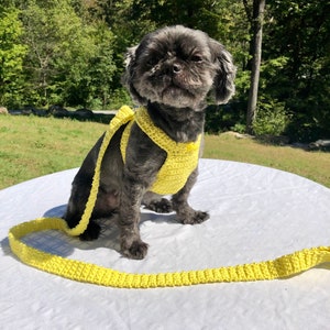 Dog Harness, Dog leash, Soft Pet Harness, Puppy Harness, Kitten Harness, Mini Dog Harness,Fashionable Harness,Harness,Yorkie Harness