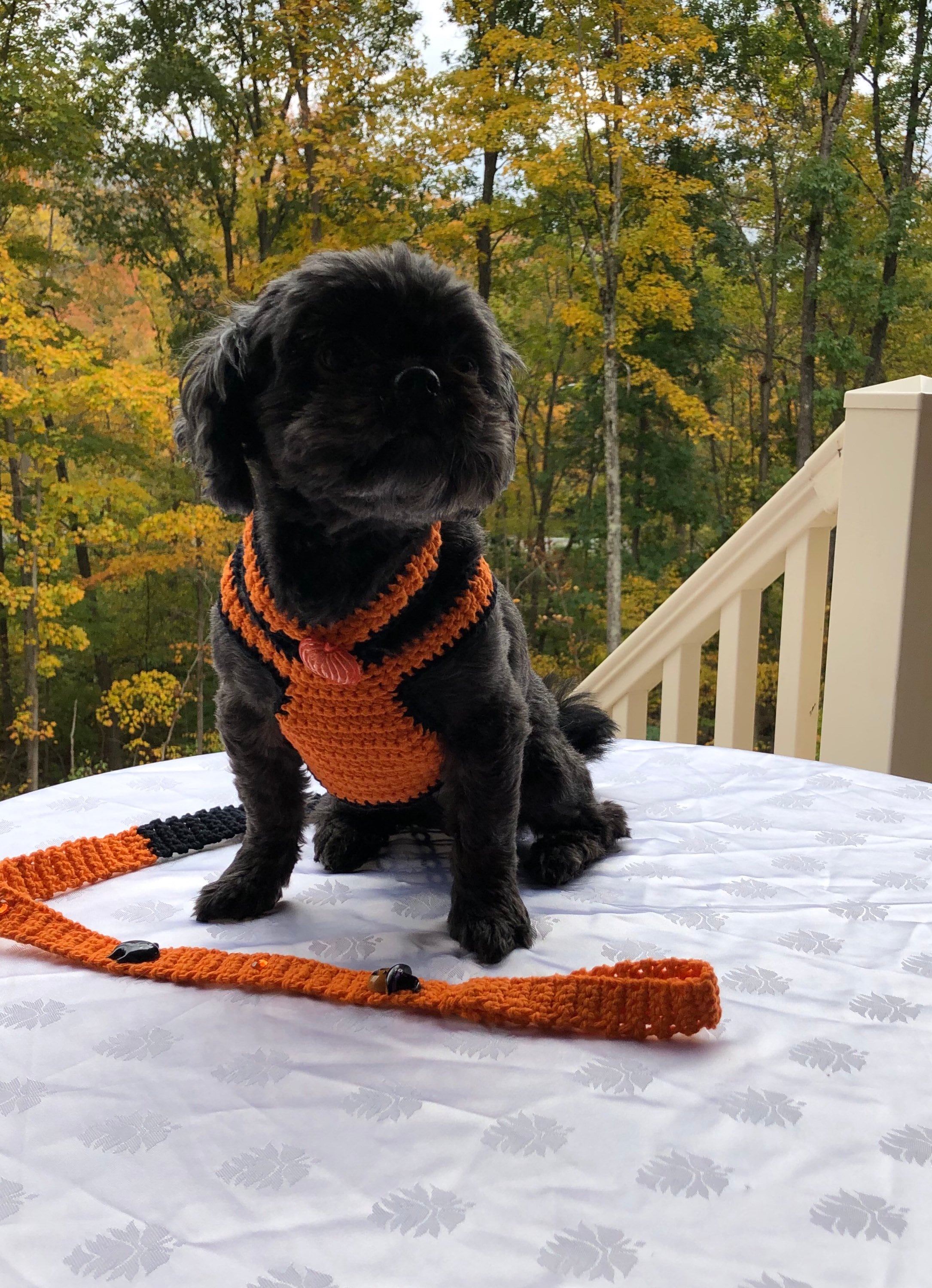 Halloween Dog Harness Pet Leash Soft Pet Harness Puppy Etsy UK