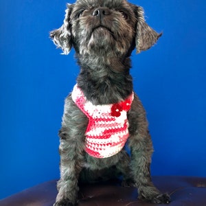 Dog Harness, Dog leash, Soft Pet Harness, Puppy Harness, Kitten Harness, Mini Dog Harness,Fashionable Harness,Harness,Yorkie Harness