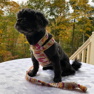 Dog Harness, Pet leash, Soft Pet Harness, Puppy Harness, Kitten Harness, Mini Dog Harness,Fashionable Harness,Harness,Harness and leash set