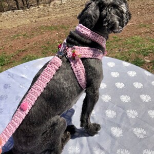 Dog Harness, Dog leash, Soft Pet Harness, Puppy Harness, Kitten Harness, Mini Dog Harness,Fashionable Harness,Harness,Yorkie Harness