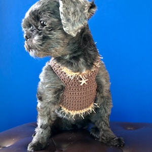 Dog Harness, Dog leash, Soft Pet Harness, Puppy Harness, Kitten Harness, Mini Dog Harness,Fashionable Harness,Harness,Yorkie Harness