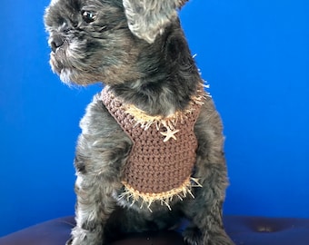 May include: A small, black and gray dog wearing a brown crocheted dog harness with a star-shaped charm. The dog is sitting on a brown leather surface.