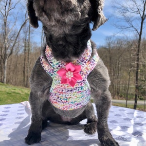 Dog Harness, Dog leash, Soft Pet Harness, Puppy Harness, Kitten Harness, Mini Dog Harness,Fashionable Harness,Harness,Yorkie Harness