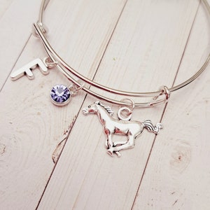 Horse  bracelet, equestrian horse lover jewelry,  horse lover gift, cowgirl bracelet, birthstone charm, Horse lover gift
