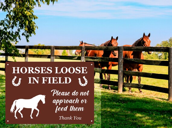 Cartello Cavalli Sciolti Nel Recinto Del Campo / Scelta Di Colori - Foto 9