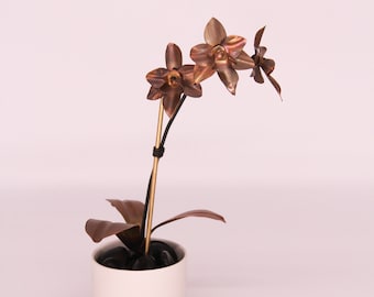 Orchid #2 Copper