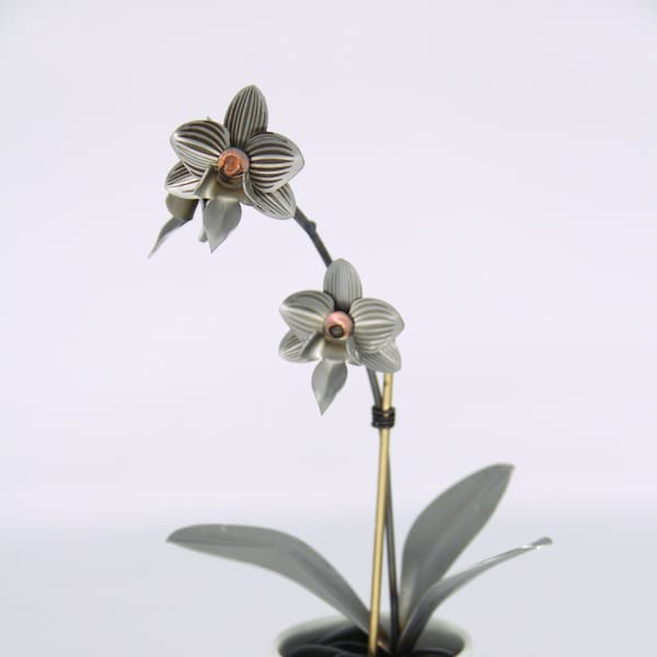 Orchid #2 Etched Stainless