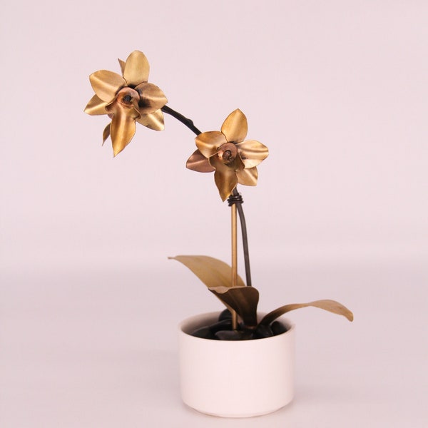 Orchid #2 Brass