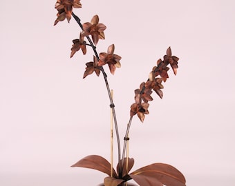 May include: A copper orchid plant with brown leaves in a white ceramic pot. The orchid has multiple stems with copper flowers.