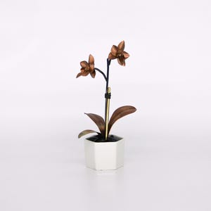 May include: A copper orchid plant with two flowers in a white hexagonal pot. The plant has a gold stem and black wire accents.