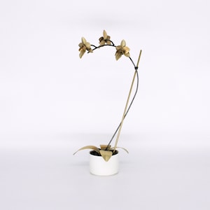 May include: A gold metal orchid sculpture with three flowers and a black stem. The sculpture is in a white ceramic pot.