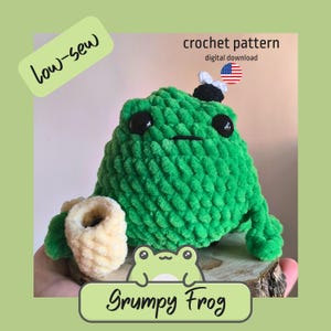 Grumpy Frog Crochet Pattern – Amigurumi Frog PDF – Grumpy Plushie Pattern – Beginner Friendly – Instant Download - Easy Crochet Pattern
