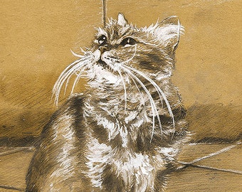 Custom Pet Drawing, Pet portrait drawing with charcoal pencil,  Cat art, Pet portrait sketch, Pet memorial drawing,  Pet art, Art gift