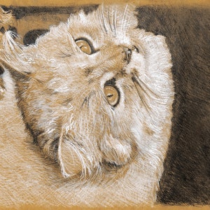 Pet portrait drawing with charcoal pencil, Custom Pet Drawing, Dog art, Pet portrait sketch, Pet memorial drawing,  Pet art, Art gift