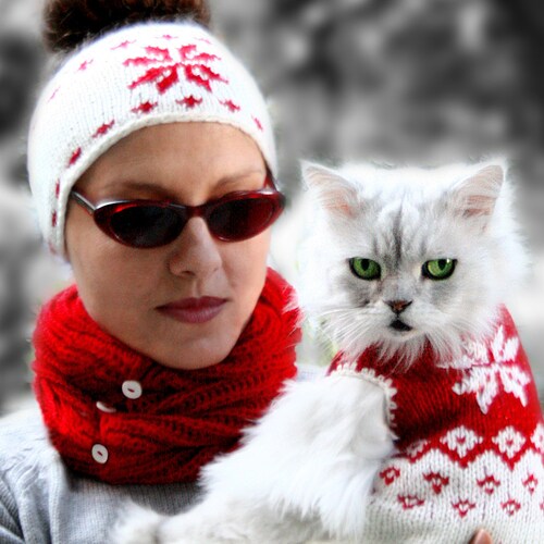 matching human and cat sweaters
