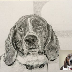 Custom Dog Drawing, Custom pet portrait, Pet memorial drawing, Dog art, Dog pencil drawing, Charcoal sketch cat portrait, Pet art, Art gift image 5