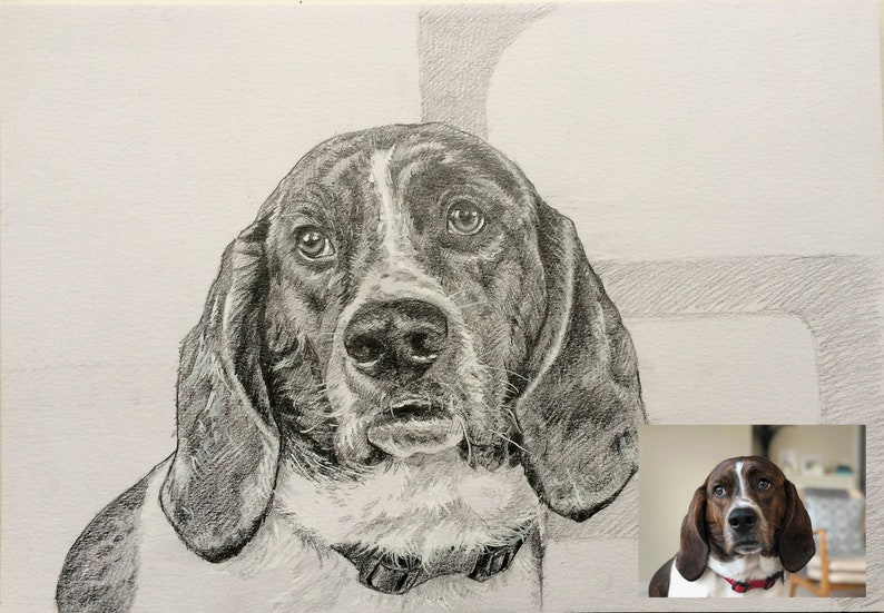 Custom Dog Drawing, Custom pet portrait, Pet memorial drawing, Dog art, Dog pencil drawing, Charcoal sketch cat portrait, Pet art, Art gift image 5