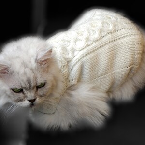 May include: A white fluffy cat wearing a white knitted sweater with a cable knit pattern. The cat is looking down with green eyes.
