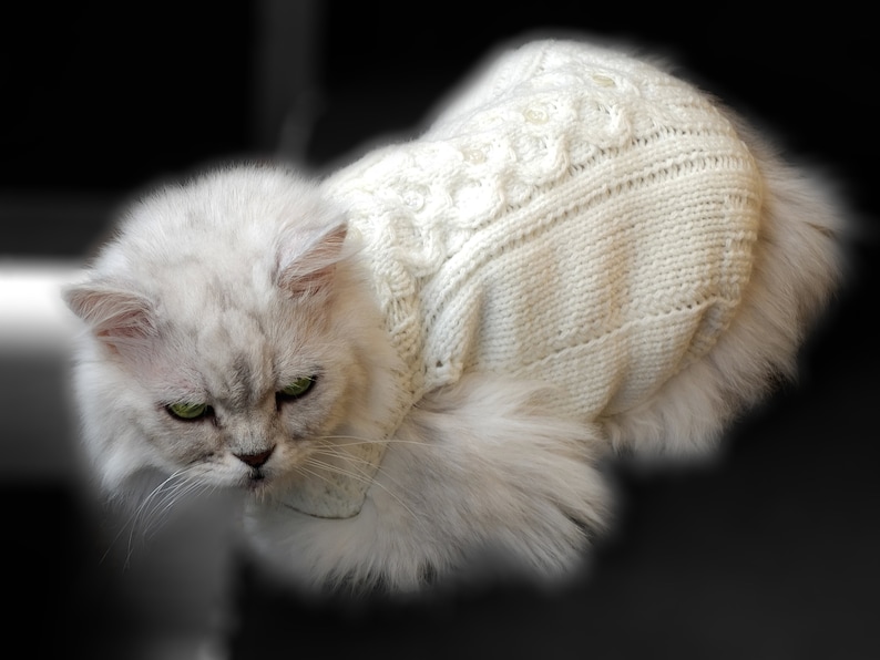 White Matching Knitting Clothes for Cat and Owners, Gorgeous small dog sweater, Dog and owner clothes, Sphynx cat sweater, Knit dog pullover image 4