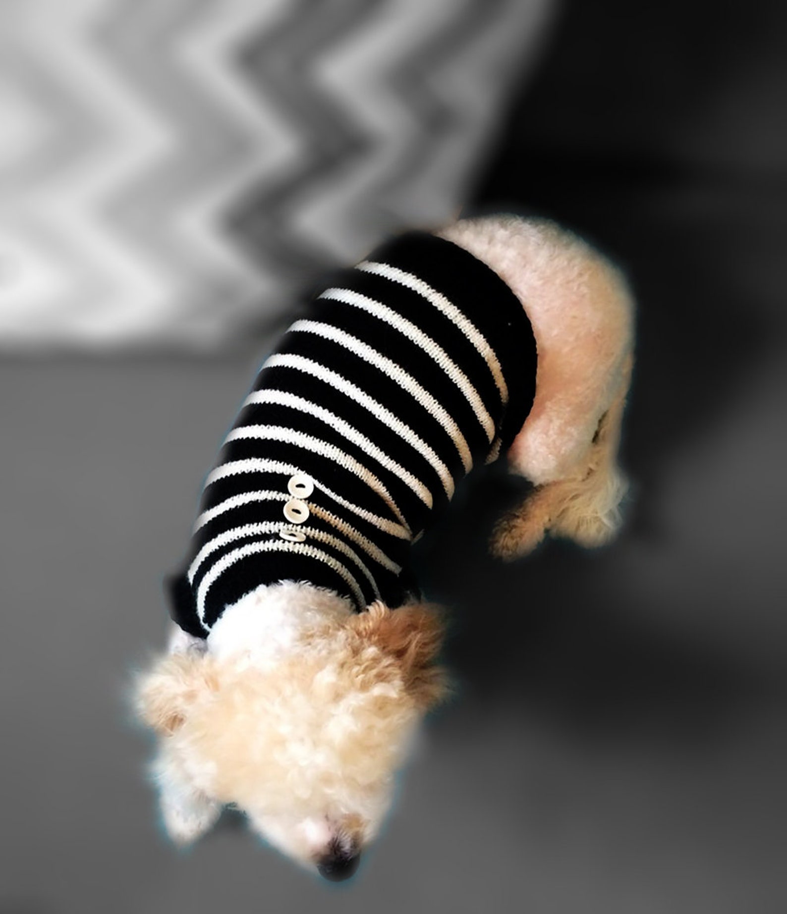 Black and White Stripe Sweater for Dogs Black Dog Jumper - Etsy
