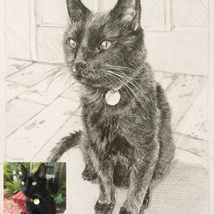 Custom Dog Drawing, Custom pet portrait, Pet memorial drawing, Dog art, Dog pencil drawing, Charcoal sketch cat portrait, Pet art, Art gift image 10