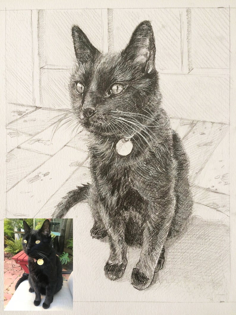 Custom Dog Drawing, Custom pet portrait, Pet memorial drawing, Dog art, Dog pencil drawing, Charcoal sketch cat portrait, Pet art, Art gift image 10