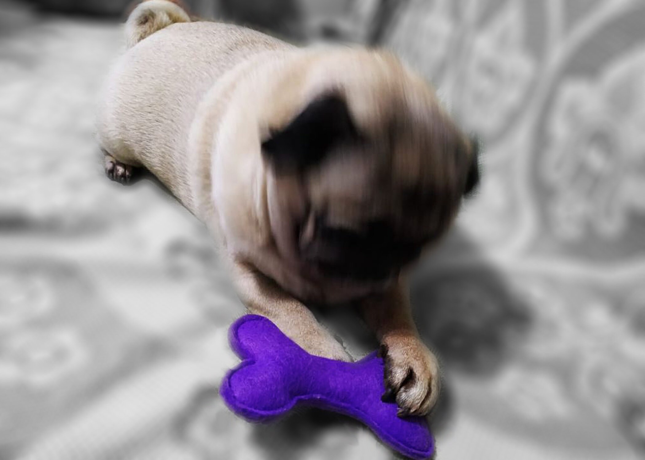 Hecho a mano colorido perro juguetes de hueso, juguetes de hueso de fieltro para perros pequeños, perro y gato puede jugar con, juguetes de patada para gatos, juguetes de gato de hueso de fieltro colorido