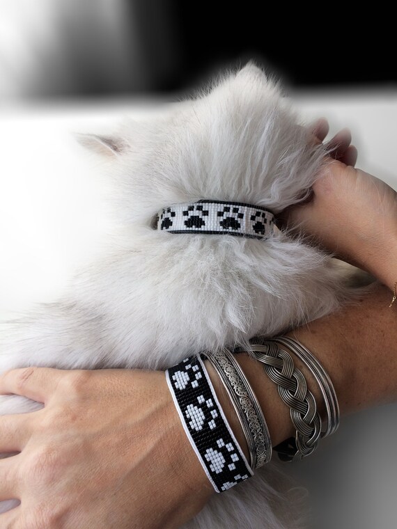 dog and cat matching collars