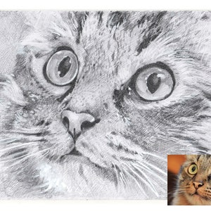 Custom Dog Drawing, Custom pet portrait, Pet memorial drawing, Dog art, Dog pencil drawing, Charcoal sketch cat portrait, Pet art, Art gift image 6