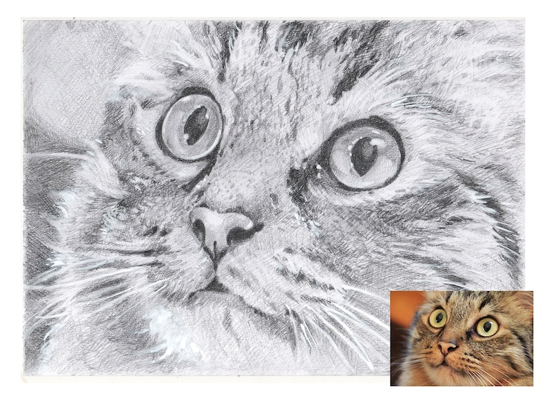 Custom Dog Drawing, Custom pet portrait, Pet memorial drawing, Dog art, Dog pencil drawing, Charcoal sketch cat portrait, Pet art, Art gift image 6