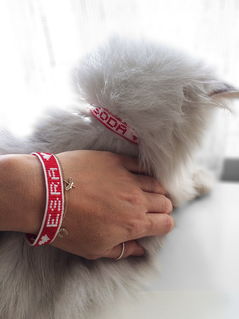 Personalized Collar for Cat and Matching Bracelet for Human Etsy