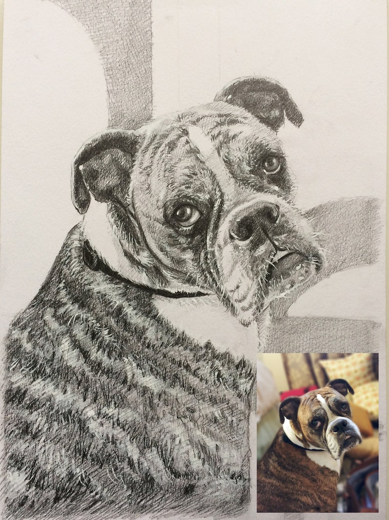 Custom Dog Drawing, Custom pet portrait, Pet memorial drawing, Dog art, Dog pencil drawing, Charcoal sketch cat portrait, Pet art, Art gift image 3