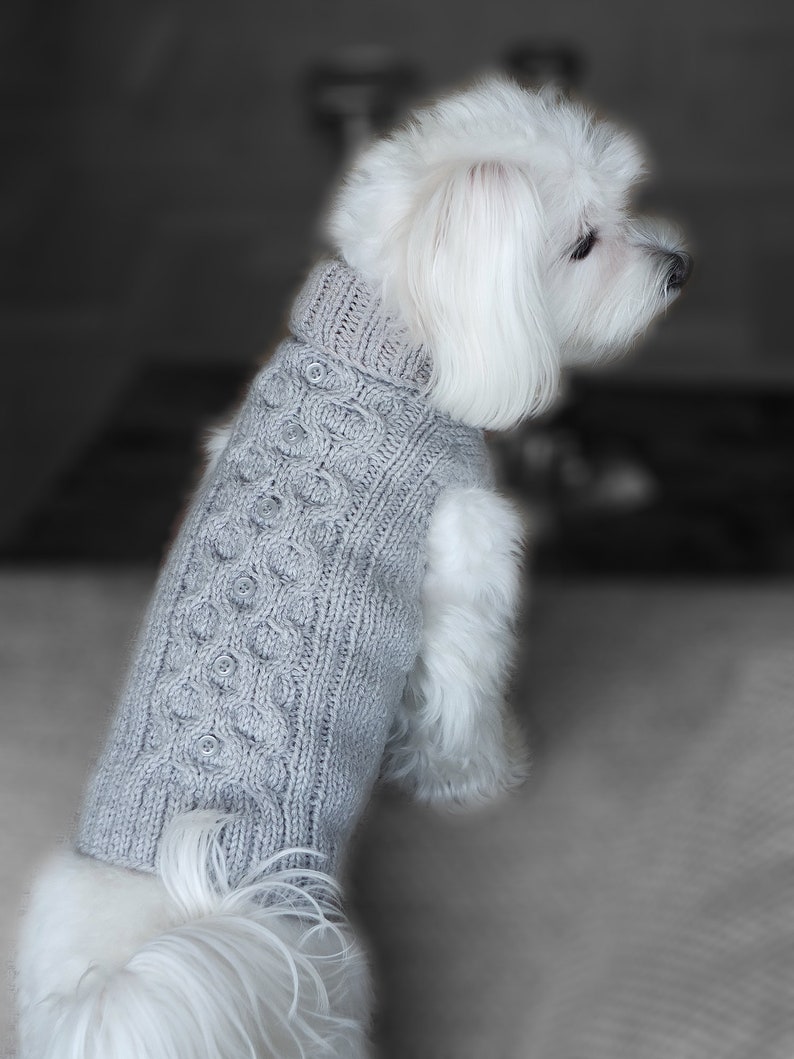 Matching Clothes for Cat and Owner Pattern Sweater Etsy