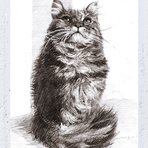 Custom Dog Drawing, Custom pet portrait, Pet memorial drawing, Dog art, Dog pencil drawing, Charcoal sketch cat portrait, Pet art, Art gift image 8
