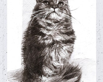 Custom Cat Portrait with Charcoal, Custom cat drawing, Sketch cat portrait, Pet memorial drawing, Pet art, Art gift, Cat art