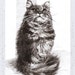 see more listings in the Pet portrait/Drawing section