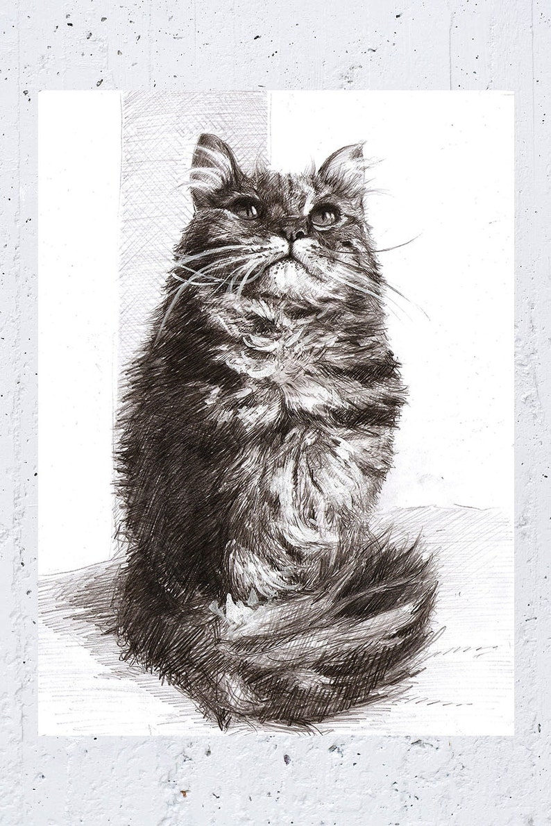 Custom Dog Drawing, Custom pet portrait, Pet memorial drawing, Dog art, Dog pencil drawing, Charcoal sketch cat portrait, Pet art, Art gift image 8