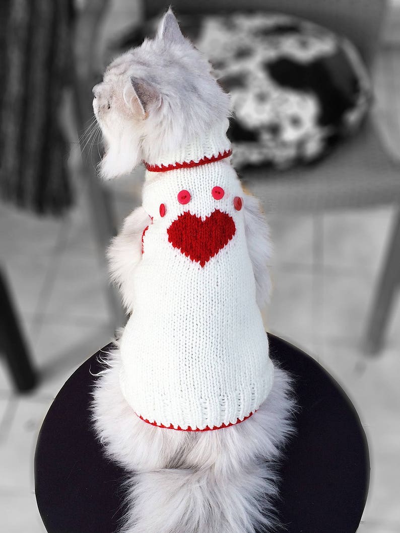 Heart Paw Pattern Cat Sweater Sphynx cat clothes Sphynx | Etsy