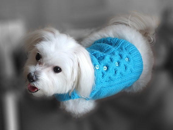 Gorgeous Pattern Blue Dog Sweater Cat 